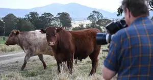 Why Video is a Must for Agribusiness Marketing in 2022?